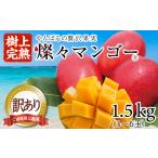ふるさと納税 マンゴー 沖縄県 国頭村 2025年発送・訳あり 燦々マンゴー1.5kg(3〜6玉) 1619685