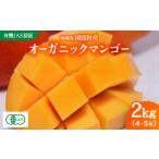 ふるさと納税 マンゴー 沖縄県 国頭村  2026年7月上旬から順次発送・有機JAS認証 オーガニックマンゴー2kg(4〜5玉) 1589198