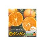 みかん 柑橘類 タンカン 10kg