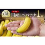 果物類 訳あり ミニバナナ1kg