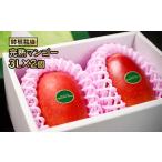 ショッピングふるさと納税 マンゴー ふるさと納税 マンゴー 宮崎県 西都市 鉢植栽培 完熟マンゴー 3L×2個 宮崎県西都産 サムライファーム 2-70 宮崎マンゴー 果物 フルーツ 甘い 先行予約 2026年…