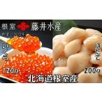 ふるさと納税 いくら 北海道 根室市 A-42048 北海道根室産 いくら醤油漬120g×1P・お刺身帆立貝柱200g