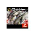川魚 魚沼の虹ます ニジマス 冷凍12尾入