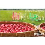 加工品等 梅干 黄金の郷 お母ちゃんの味 梅干し 約180g×2