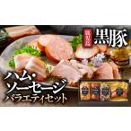 肉 ハム 411-3 南州農場 黒豚ハム ソーセージバラエティセ…