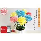 花 苗木 切花染色剤 フラワーパレット T024-12