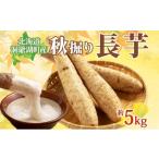人参 大根 他根菜 秋掘り 長芋 約5kg