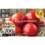 野菜類 トマト 2027年発送 お試し プレミアムフルーツトマト