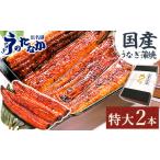 ショッピングうなぎ 蒲焼き 国内産 送料無料 ふるさと納税 静岡県 磐田市  浜名湖 ・ うなぎのたなか の 特大サイズ 2本 ギフト !ふっくら柔らか♪ 国産うなぎ長蒲焼 ※合計 360g 程度 _ うなぎ 鰻 ウナギ…