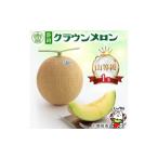 ふるさと納税 メロン メロン青肉 静岡県 磐田市 通年出荷 クラウンメロン(山等級)1玉 化粧箱入_ メロン クラウンメロン めろん 1玉 化粧箱 果物 くだもの フ…