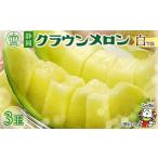 ふるさと納税 メロン メロン青肉 静岡県 磐田市 通年出荷 クラウンメロン(白等級) 3玉 化粧箱入_ メロン クラウンメロン めろん 3玉 化粧箱 果物 くだもの フ…