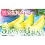 ふるさと納税 島根県 益田市 益田産アムスメロン　特大5Lサイズ（3玉入り）【先行予約 数量限定 期間限定 季節限定 早期予約 果物 くだもの フルーツ メロン …