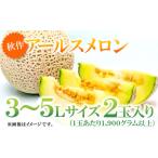 ふるさと納税 メロン メロン青肉 島根県 益田市 益田産アールスメロン(2玉入り) 秋作 メロン 先行予約 3L〜5Lサイズ 10月17日〜10月30日発送 期間限定 季節…