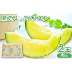ふるさと納税 メロン メロン青肉 島根県 益田市 アールスメロン 秀品 2玉 夏作 メロン 2玉 先行予約 果物 くだもの フルーツ アールスメロン 糖度14度以上 …