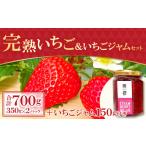 ふるさと納税 いちご 島根県 益田市 農家直送 完熟いちご(350g×2パック)・いちごジャムセット(150g) いちご 2月発送 先行予約 イチゴジャム 甘い 果物 …