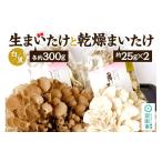 野菜類 きのこ 生まいたけ 白 黒 各約300g+乾燥まいたけ25g…