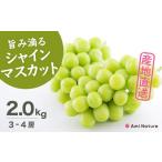 ふるさと納税 ぶどう マスカット 山梨県 笛吹市 25年発送先行予約 発送 さわやかに滴るシャインマスカット 約2.0kg以上 065-021 | シャインマスカット 発送 …