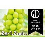 ショッピングふるさと納税 シャインマスカット ふるさと納税 山梨県 笛吹市 ＜2024年先行予約＞【完熟】 シャインマスカット 2房 1.2kg以上 098-005 | シャインマスカット 先行予約 まるしょう農園 笛吹市 …