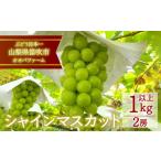 ふるさと納税 ぶどう マスカット 山梨県 笛吹市 25年発送先行予約 シャインマスカット 2房 約1.0kg以上 092-002