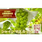 ショッピングふるさと納税 先行予約 ふるさと納税 山梨県 笛吹市 ＜2024年先行予約＞シャインマスカット 2房 約1.0kg以上 092-002