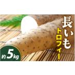 人参 大根 他根菜 2026年収穫分 長いも