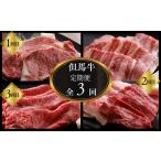 牛肉 サーロイン 但馬牛肉定期便 ステーキ