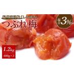 加工品等 梅干 訳あり 紀州南高梅 しそ漬け梅