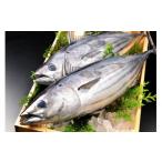 旬の鮮魚等 旬 天然 類 詰め合わせ B セット