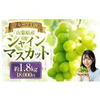 ショッピングふるさと納税 シャインマスカット ふるさと納税 ぶどう マスカット 山梨県 中央市 シャインマスカット 約1.8kg マスカット ぶどう ブドウ 葡萄 くだもの 果物 フルーツ 種なし 山梨県 中央市 送…