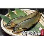 川魚 あゆ アユ 吉野桜あゆ 10尾入