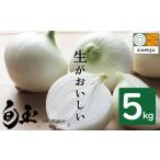 野菜類 玉ねぎ 2027年発送 満天 青空レストラン