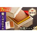 菓子 カステラ 7日発送 特撰カステラ580g