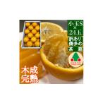ショッピングふるさと納税 訳あり 傷 ふるさと納税 みかん・柑橘類 和歌山県 有田川町 訳あり 傷多め 4月 まで 木成 完熟 させた 有田 はっさく S × 24玉 茶箱 南泰園 みかん