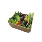 セット 詰合せ 野菜 季節の野菜 おまかせ 坂北やさいBOX