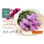 花 苗木 花束 アルストロメリア 10本程度