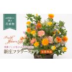 花 全6回 定期便 2ケ月に1回お届け 新庄フラワー