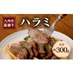 ふるさと納税 牛肉 福岡県 嘉麻市 嘉穂牛 ハラミ 約300g 数量限定 ブランド牛 牛肉