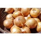 fu.... налог овощи вид шар лук порей Hokkaido день высота блок Hokkaido день высота производство шар лук порей примерно 18kg местного производства Hokkaido производство овощи прямая поставка от производителя ваш заказ 