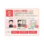 地域のお礼の品 みまもり訪問サービス 3カ月