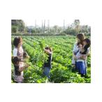 fu.... налог body . билет Saitama префектура криптомерия дверь блок сельское хозяйство ... body . билет . рис 1kg есть | body . хочет .. сельское хозяйство body ... body . сельское хозяйство .. овощи сезон. овощи . рис 1kg комплект...