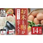 セット 詰合せ 野菜定期便 3ヶ月 お米 たまごも届く 約14品