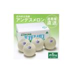 ふるさと納税 メロン メロン青肉 山形県 酒田市 選果場からの直送メロン　アンデスメロン　約5kg(4〜5玉入) SA2918