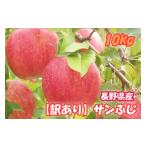 ふるさと納税 りんご 長野県 松川町 MS18-25A りんご サンふじ(長野県産訳あり品) 約10kg / 2026年1月上旬〜2月上旬頃 配送予定 // 長野県 南信州 さんふ…