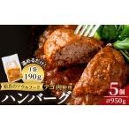 豚肉 ハンバーグ a526 姶良アゴ肉ハンバーグ計950g 190g×5個