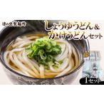 ふるさと納税 うどん 生・半生めん 香川県 - 日の出製麺所「しょうゆうどん・かけうどん」うどんセット 1606281
