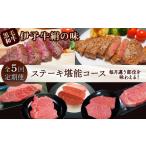 牛肉 サーロイン 全5回定期便 黒毛和牛 伊予牛