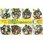 fu.... налог комплект *... Yamagata префектура самый сверху блок .. набор комплект 