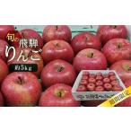 ふるさと納税 りんご 岐阜県 高山市 数量限定/先行予約 飛騨りんご 約5kg (16個〜20個)| 9月中旬〜順次発送 リンゴ 品種おまかせ 旬のりんごを飛騨からお届…
