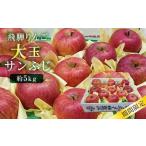 ふるさと納税 りんご 岐阜県 高山市 数量限定/先行予約 (2025年12月発送)飛騨りんご 約5kg 12-14玉 | 飛騨高山産 数量限定 先行予約 完熟 蜜入り 大玉 サ…