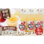 果汁飲料 りんご 飛騨高山のリンゴジュース 1リットル×6本